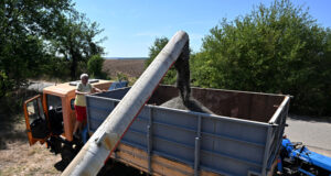 Няма изненади в развитието на цените на основните зърнени стоки по световните борсови пазари тази седмица, посочват експерти