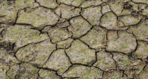 Обзор
                                                                                                Поради недостиг на вода близо 3% от населението на България е било на режим през 2022 г. по данни на НСИ