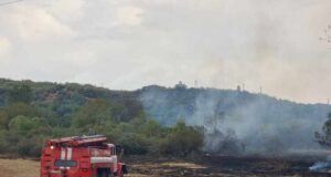 Общо 183 пожара са потушени през изминалото денонощие