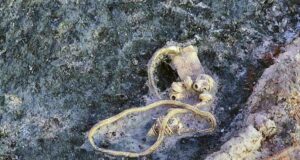 Част от златните предмети Снимка: БТА