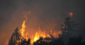 АКТУАЛИЗИРАНА
                                                                                                Пожарникар почина от инфаркт, 17 са ранени докато горски пожари продължават да бушуват в Португалия