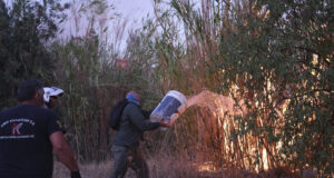 Горски пожар избухна край Ахая, Южна Гърция