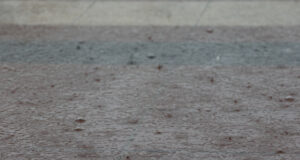 Десетки хиляди австралийци са без електричество, след като проливни дъждове и силни ветрове връхлетяха остров Тасмания