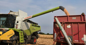 Динамичен обрат в развитието на цените на основните зърнени стоки по световните борсови пазари донесоха първите дни на септември