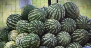 Дините поевтиняват с над 20 процента на борсите у нас през седмицата