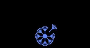 ИНТЕРВЮ
                                                                                                Ранните детски бракове са културен и политически проблем, смята Селен Доган, председателка на турска неправителствена организация