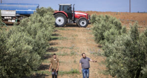 Испания се обръща към костилките от маслини, за да замени газа и електричеството