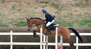 Над 150 състезатели ще премерят сили в състезанията по конен спорт за Купа "Житница" през уикенда