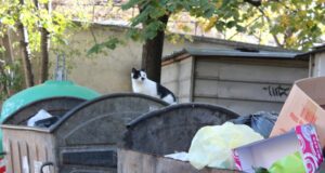 такса „смет”