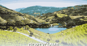 Петима затворници, сред които и чужденци, избягаха от строгоохраняван затвор в Португалия