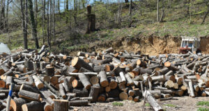 Подадени са над 306 000 заявления за помощ за отоплителния сезон 2024/2025 г., съобщиха от Министерството на труда и социалната политика