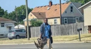 Тръмп твърди, че мигранти ядат домашни любимци. Какво става в Спрингфийлд?