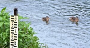 ХИНА: Хърватия се подготвя за очакваното покачване на нивото на река Дунав