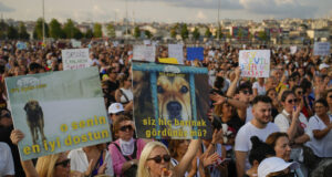 Хиляди турци протестираха срещу спорния закон за премахване на бездомните кучета от улиците