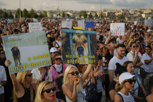 Хиляди турци протестираха срещу спорния закон за премахване на бездомните кучета от улиците