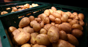 Цените на картофите в Южна Африка скочиха, след като студове засегнаха реколтата