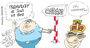 Стършел сараи