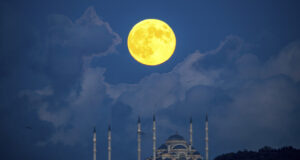 Белгия отнема разрешителните за работа на петима турски имами