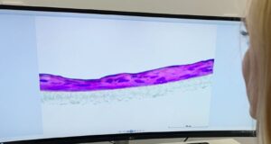 Български учени създадоха прототип на човешка кожа за проучвания в областта на медицината и фармацията