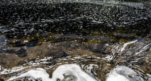 Завод на "Веолия" в Унгария произвежда ценни материали за "лов" на "вечни замърсители"