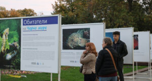 Изложба подводна фотография във Варна разказва за обитателите на Черно море и Световния океан