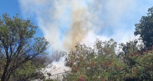 Общо 102 пожара са загасени в страната през денонощието, няма пострадали