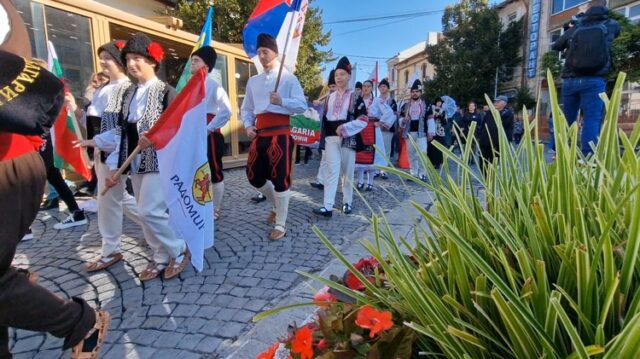 Празник на бозата се отбелязва днес в Радомир