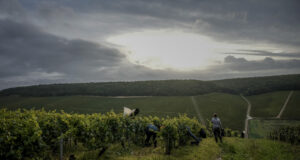 Страни от целия свят представят амбициите си за развитие на лозаро-винарския сектор на годишна среща на международна организация