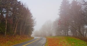 Мъгли по пътищата тази сутрин