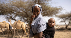 ФАО ще изпълни 21 нови проекта с бюджет от 109 милиона долара във втория кръг на финансиране от Пандемичния фонд