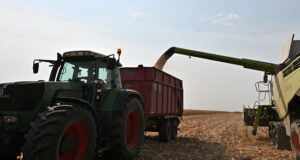 Цените на зърнените култури се понижават в западната част на света, докато на изток се повишават, отчитат експертите на ССБ