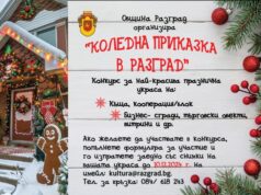 В Разград ще отличат организации и граждани в първия конкурс за коледна украса