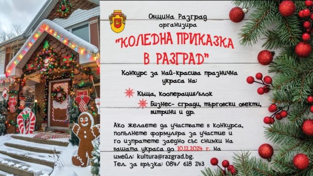 В Разград ще отличат организации и граждани в първия конкурс за коледна украса