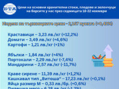 Всички зеленчуци, с изключение на морковите, поскъпват на борсите у нас тази седмица, сочат данни на ДКСБТ