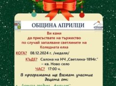 Коледната елха на Априлци ще грейне на 8 декември, от общината подготвят разнообразна празнична програма