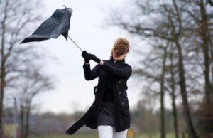 вятър, време, прогноза