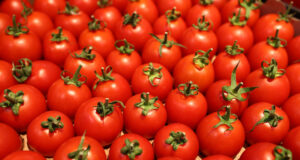 Производството на домати на открито у нас бележи ръст от над 33 на сто на годишна база, по данни на ресорното министерство