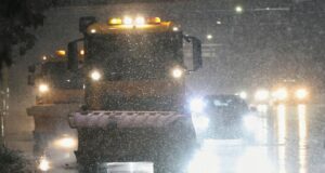 Тази нощ в София са работили 171 снегорина аварийни екипи премахват паднали клони и дървета