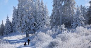 Възможностите за опазването, поддържането и развитието на Природен парк "Витоша" ще бъдат обсъдени на форум В София