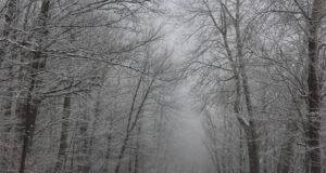 Възстановено е движението през Прохода на Републиката, съобщиха от АПИ