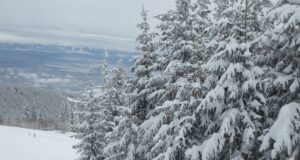 Затварят пътищата към Витоша за основно почистване, Столичната община засилва мерките за осигуряване достъп до планината