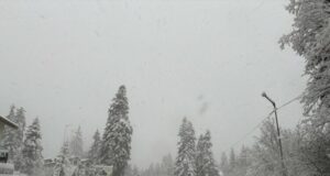 Катастрофа затвори движението по пътя Русе-Бяла