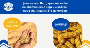 Леко повишение в цените на зърнените култури по световните борси през седмицата отчитат експертите на Софийската стокова борса