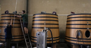 Лозарско имение с традиции в Германия се обръща към производство на безалкохолно вино на фона на засиленото търсене на напитката