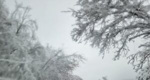 Между 30 и 40 населени места в община Елена продължават да имат проблеми с електрозахранването