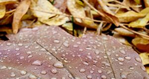 есен, дъжд превалявания