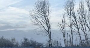 От футболен клуб Дунав (Русе) изразиха позиция срещу съдийството в мача с Несебър