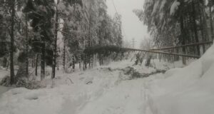 Домакинства без ток