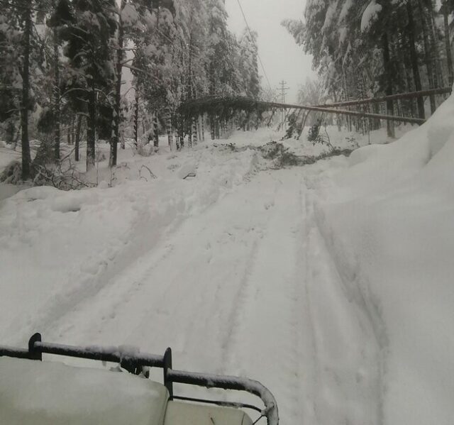 Домакинства без ток