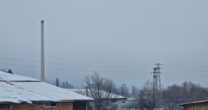 Пробите от стадата с установена чума по дребните преживни животни вече са изпратени до лабораторията в Монпелие, съобщиха от БАБХ